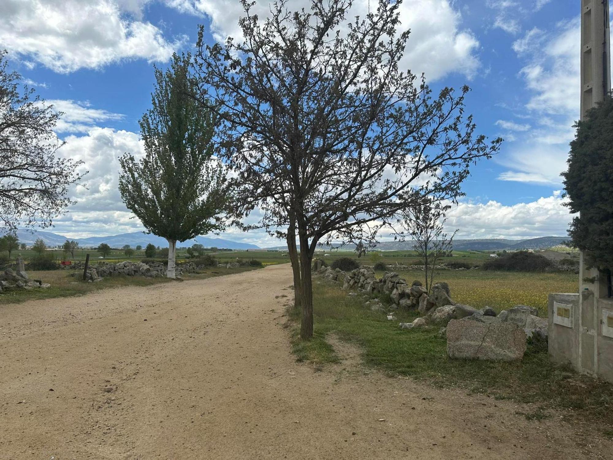 Casa Rural El Cordel La Serrada Eksteriør billede